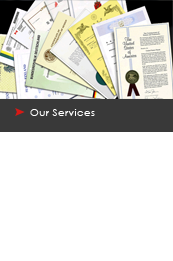 Our Services